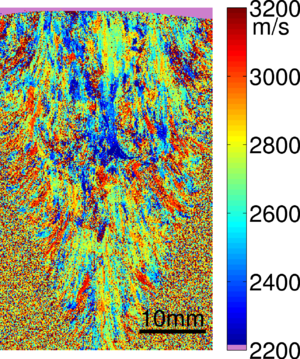 SRAS 300dpi sras austenitic ss.png